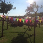 mini club shows & Evenst - Kids fest -5